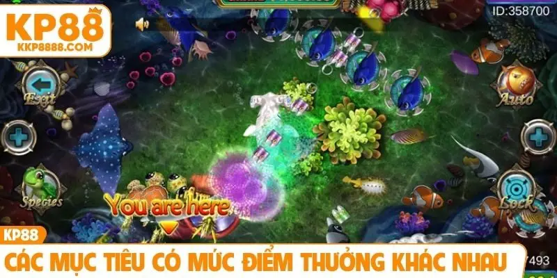 Các mục tiêu có mức điểm thưởng khác nhau