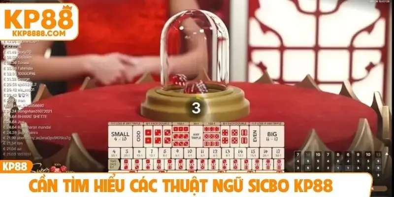 Cần tìm hiểu các thuật ngữ sicbo KP88