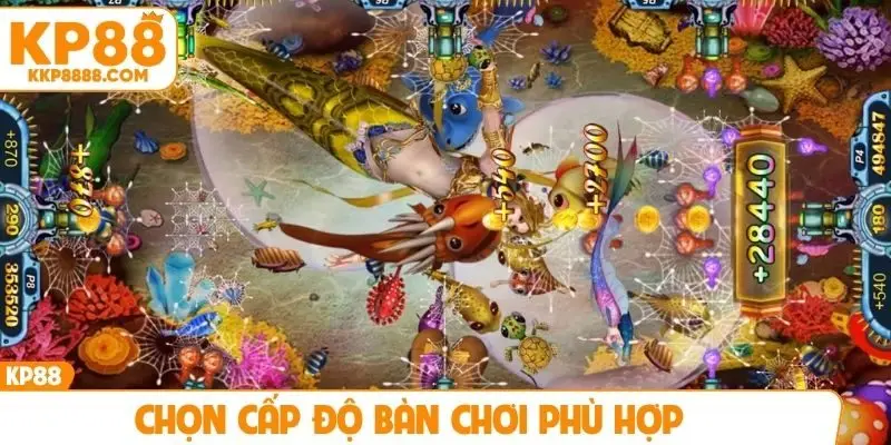 Chọn cấp độ bàn chơi phù hợp