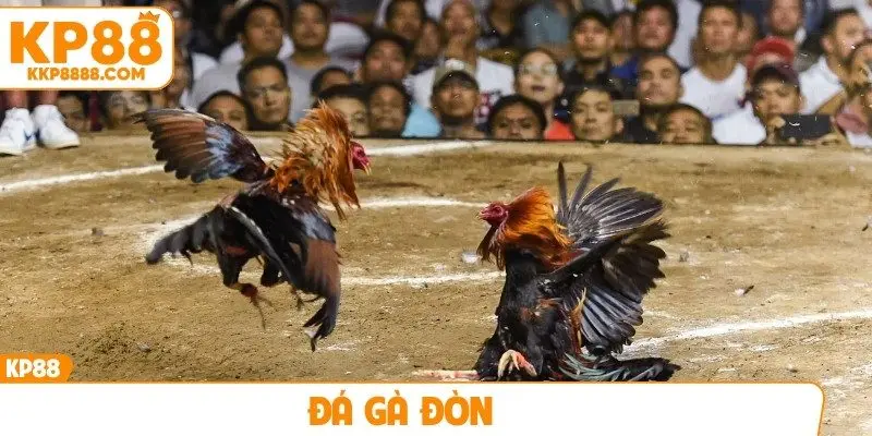 Đá gà đòn
